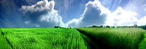 landscape-thumbnail_2