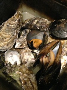 お通しのアップ