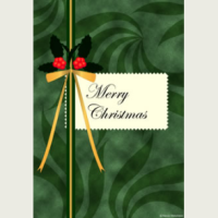 christmas0096_k09sle_thl