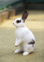 疲れで目の周りに隈ができやすくなってます（≧∇≦）